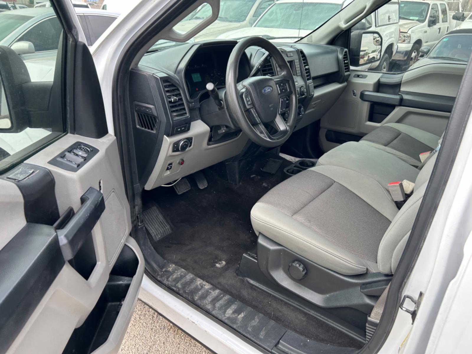 2019 White Ford F-150 (1FTEW1C55KK) with an 5.0L V8 F DOHC 32V engine, Automatic transmission, located at 1687 Business 35 S, New Braunfels, TX, 78130, (830) 625-7159, 29.655487, -98.051491 - Photo #9